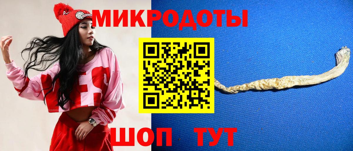 Ликино-Дулёво  Псилоцибиновые грибы Psilocybe  Вход с VPN 